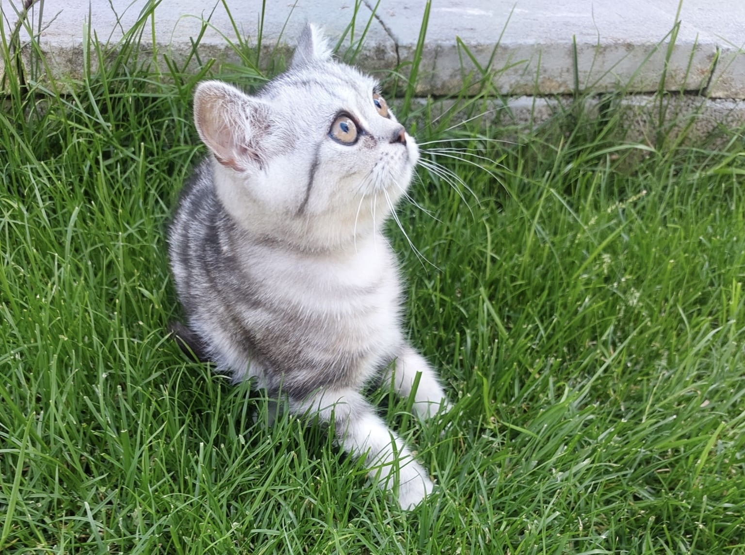 2a2496ee-83fb-486d-ab4f-c1c56b8ae0ea