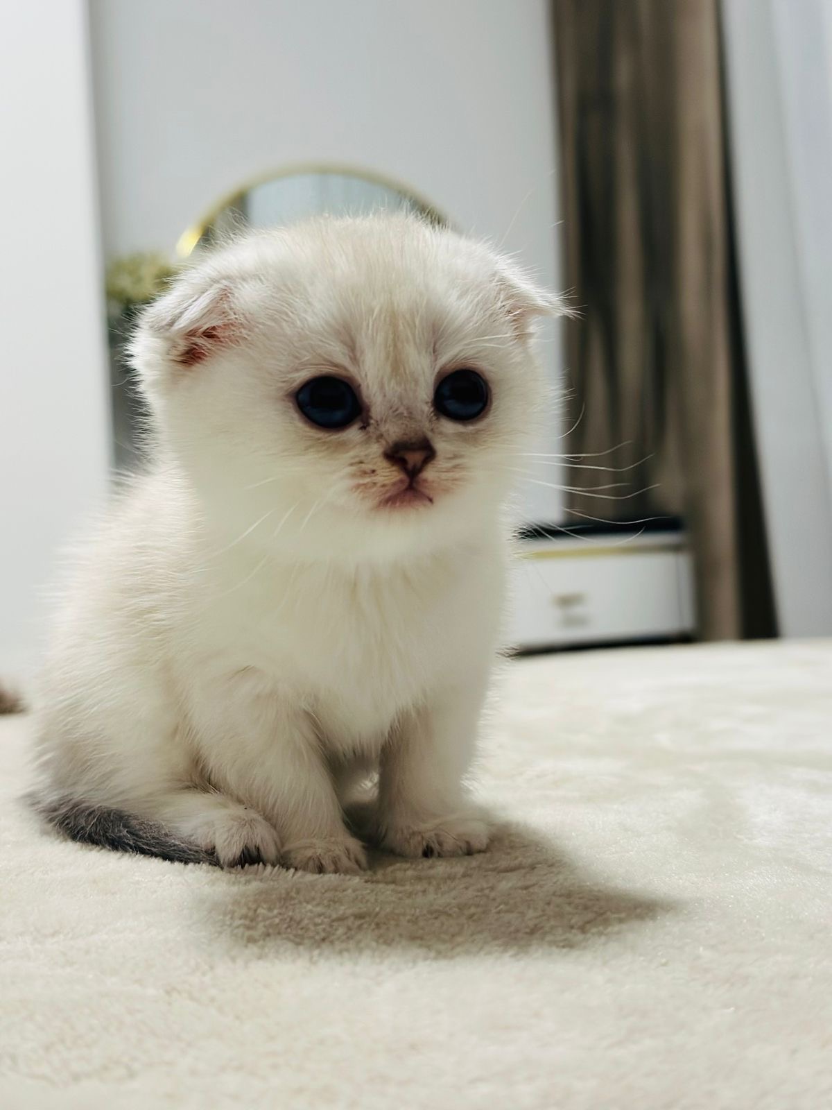 2f3c76fd-9422-433e-9a5c-5b58719af67b