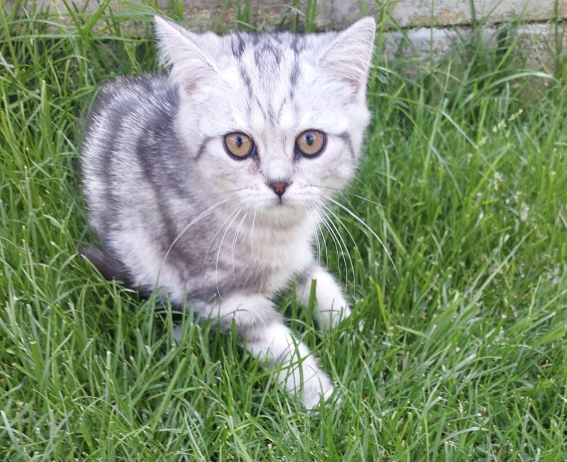 4923fd0c-400c-4267-9ace-2a8e9dc0ca73