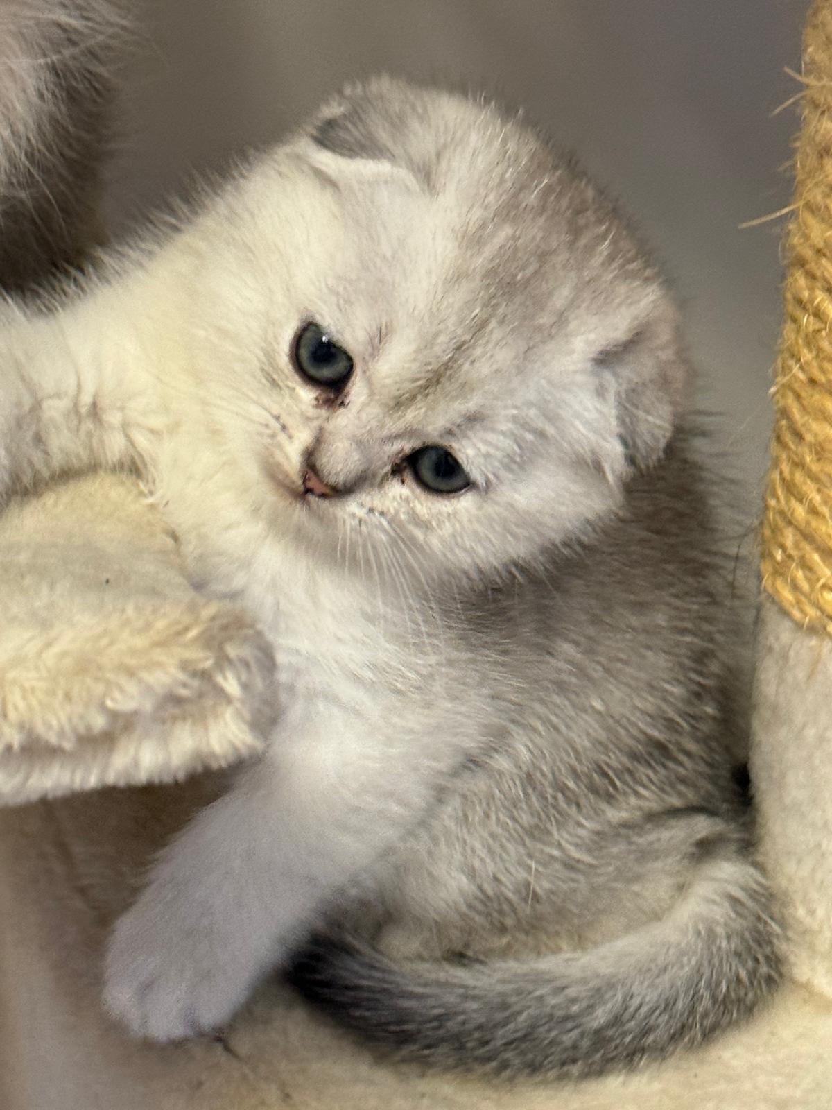 93150189-5676-4b1f-a664-d0d108a90217