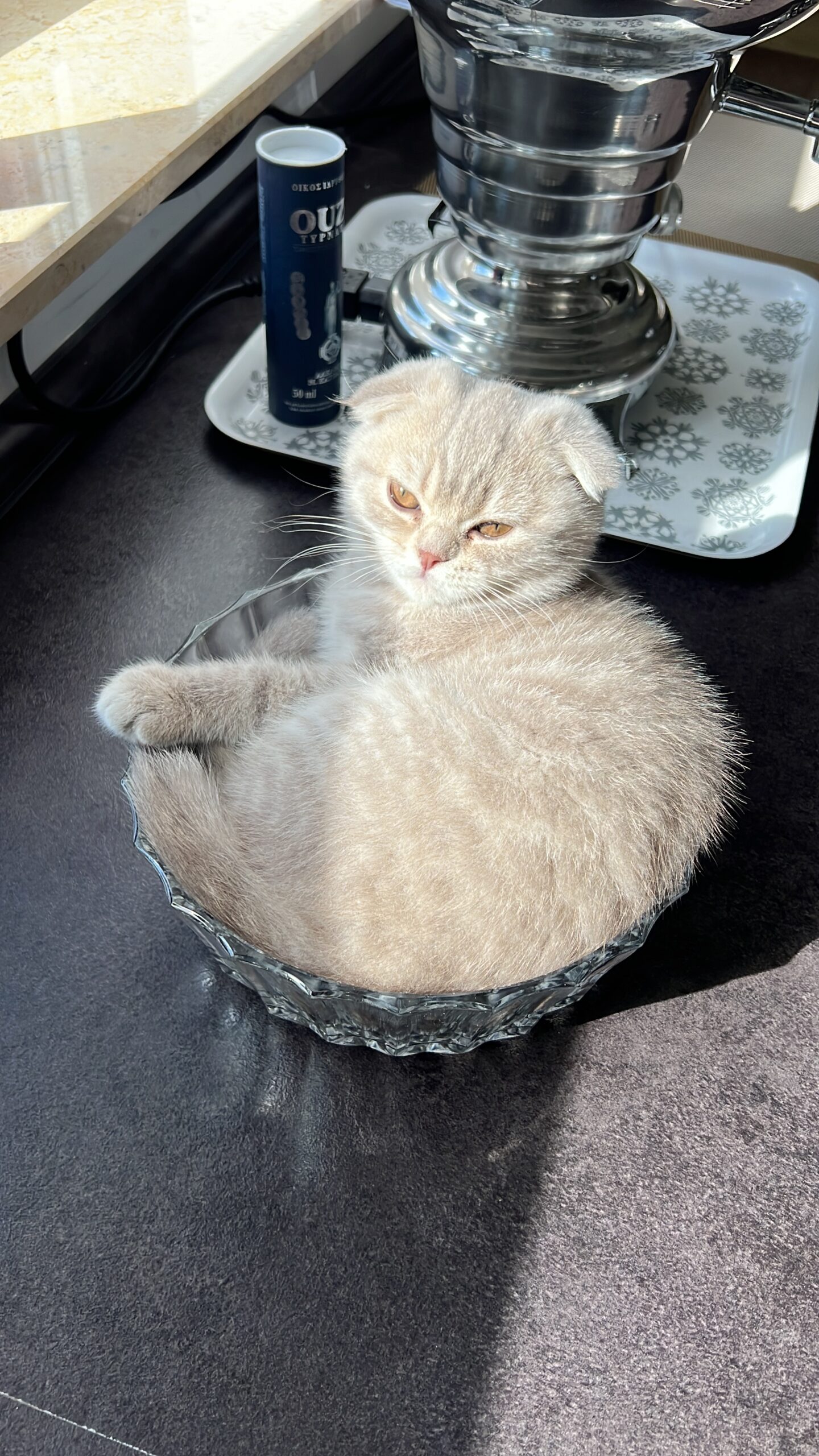 9EB52C09-C8B1-47E2-AFAD-A4E1D70A7741