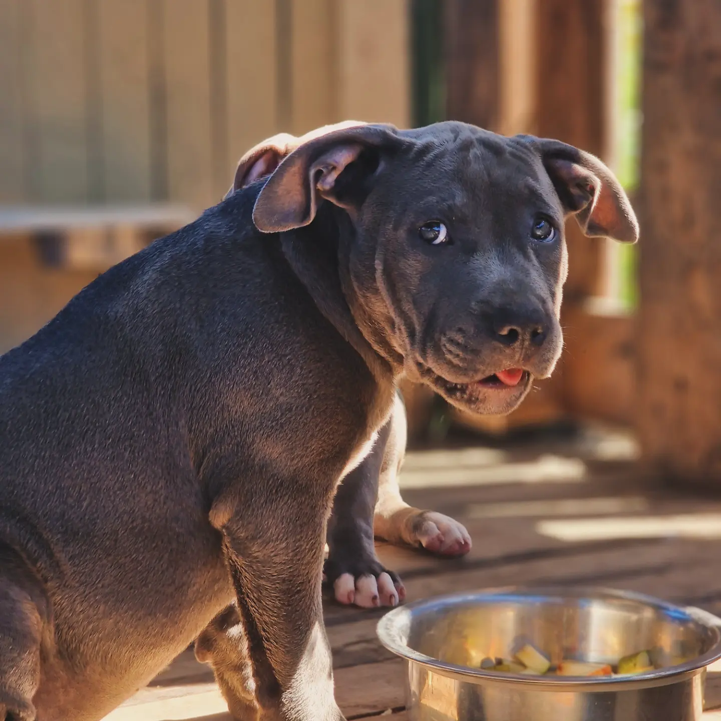 IMG_20240626_124143_190