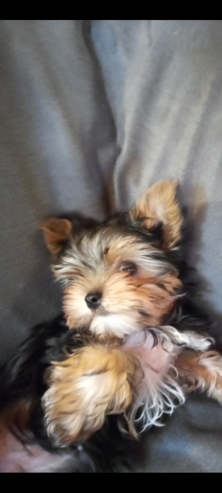 Screenshot_20240613-131458