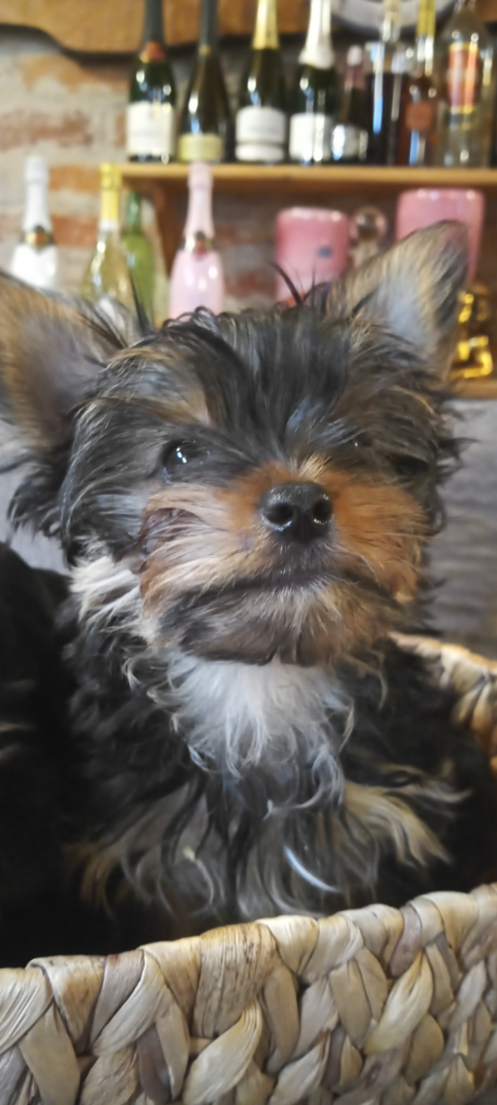 Screenshot_20240613-132047