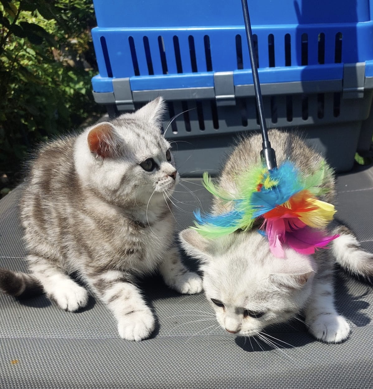 a8c95ce9-99c0-48c7-9385-37572292b6d2