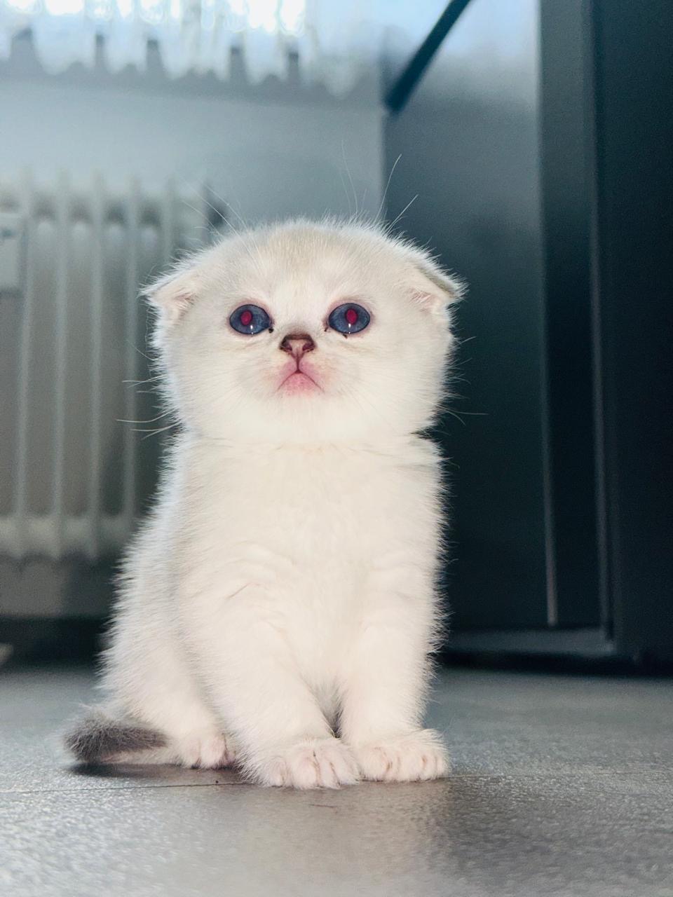 c5c5bf6f-5483-4ccf-901f-ff90a3832c8e