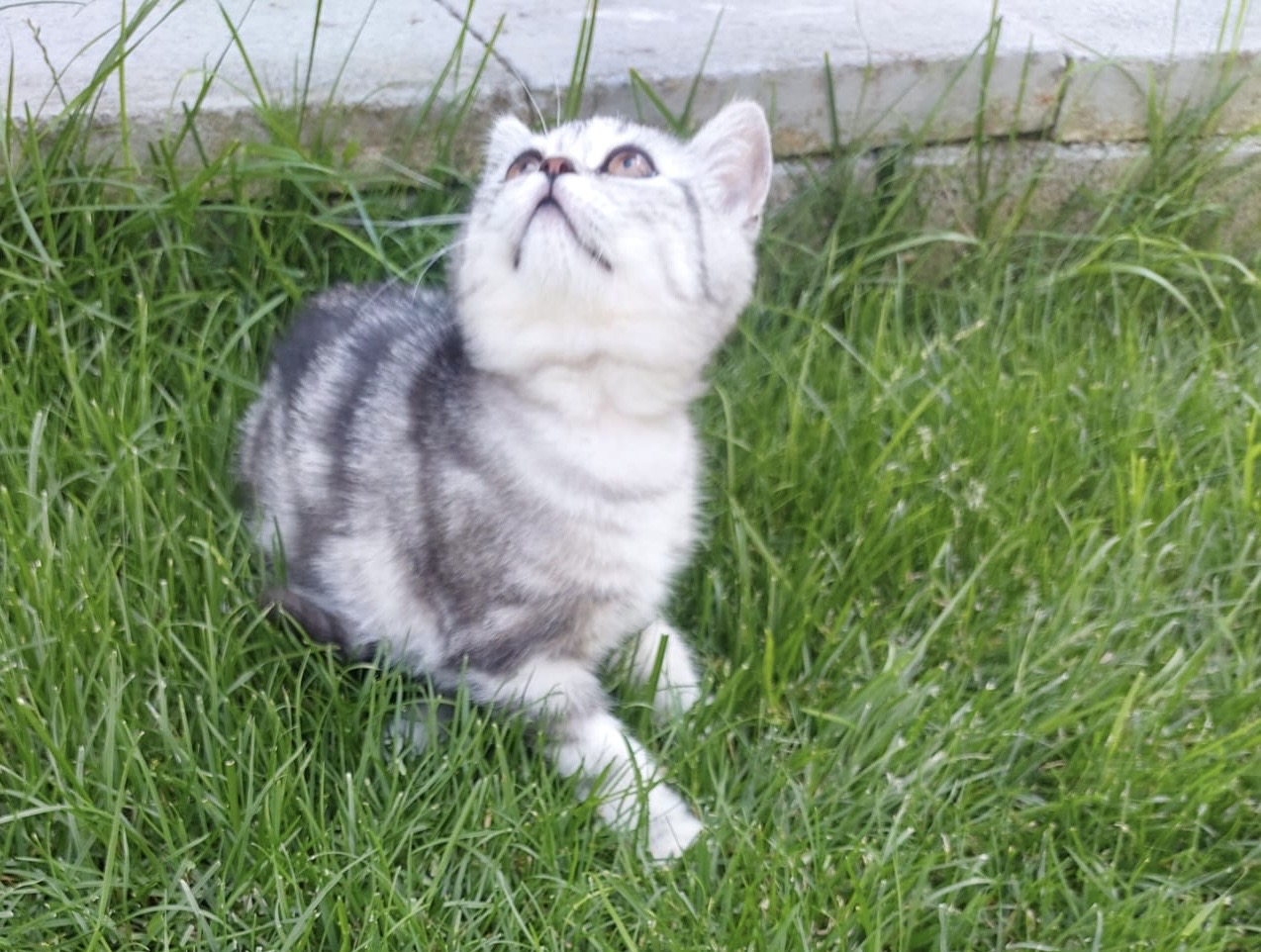 e2e0dfdf-30a4-4031-9056-97b62a540f37