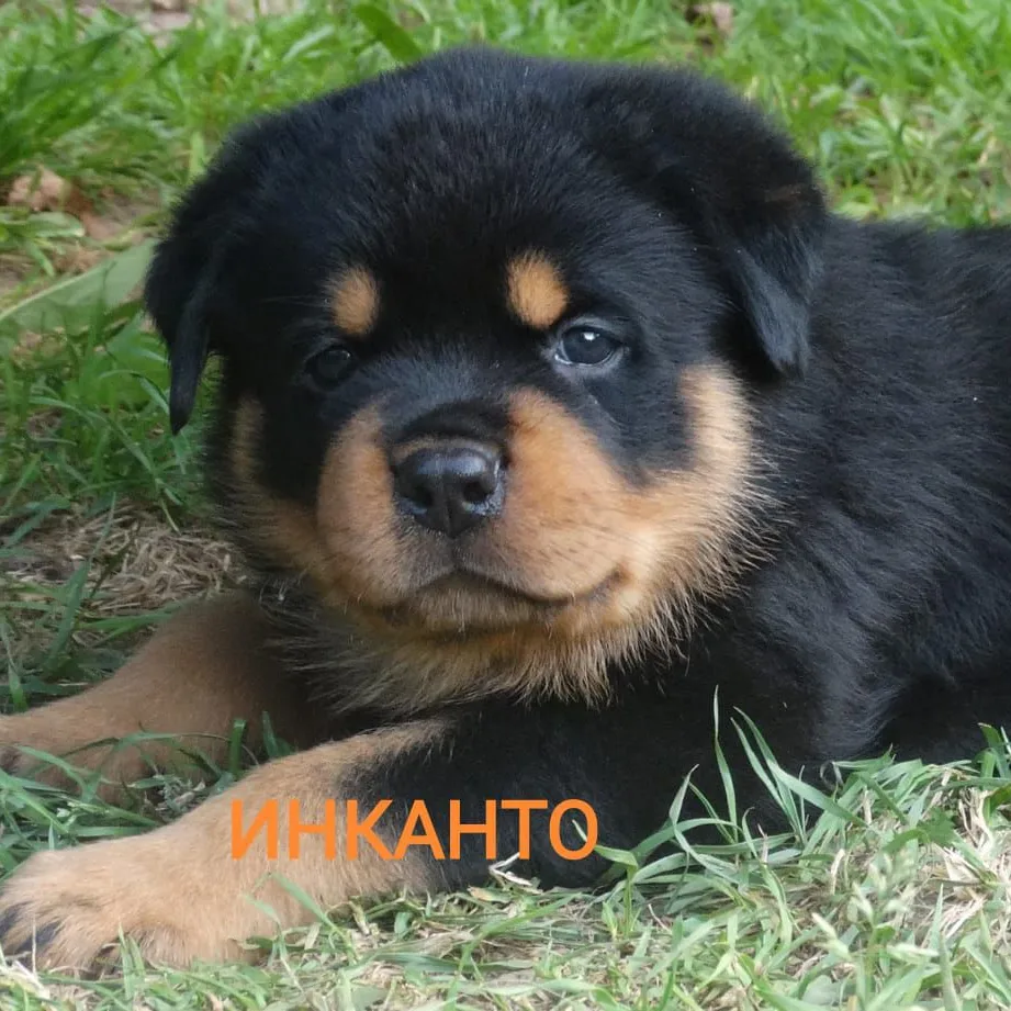 IMG_20240806_170300_016