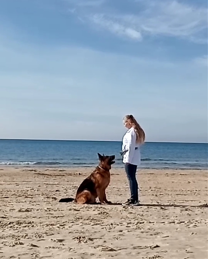 2021-11-26-16-59-32_1637947455095-—-копия