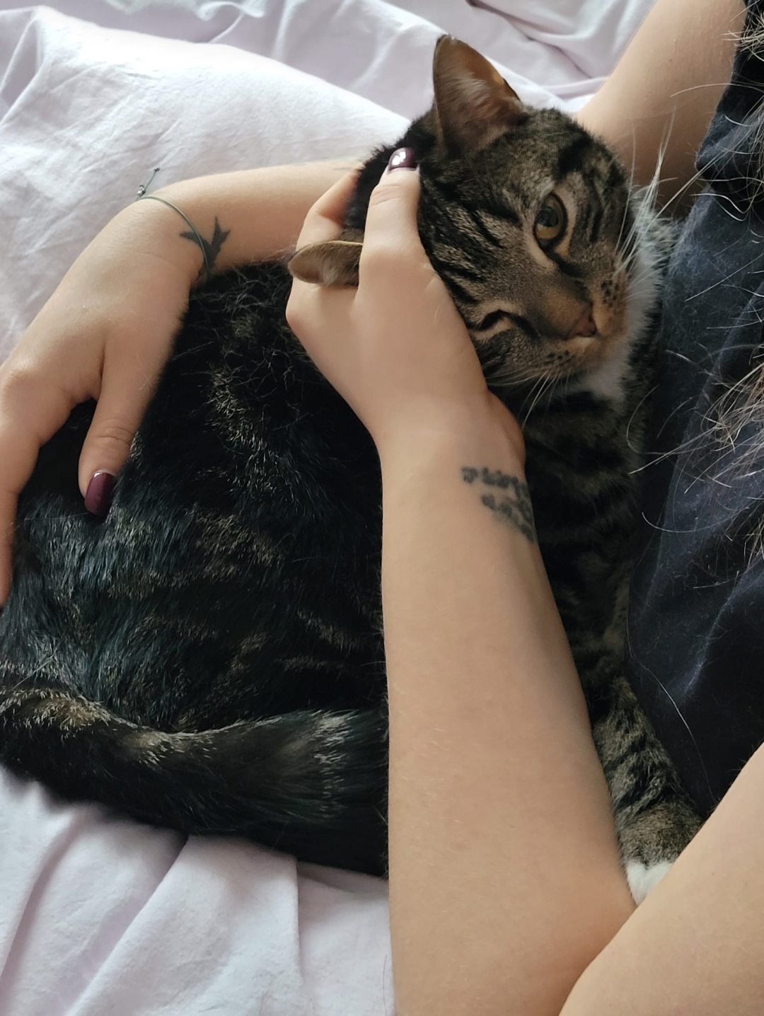 Screenshot_20240826_185553_Gallery