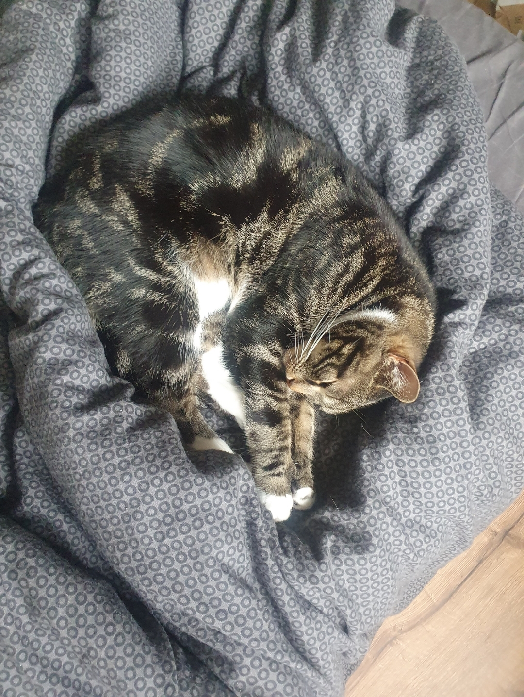 Screenshot_20240826_185701_Gallery