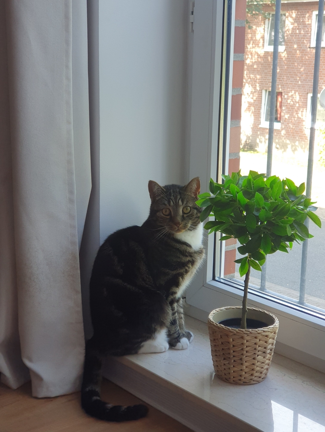 Screenshot_20240826_185721_Gallery