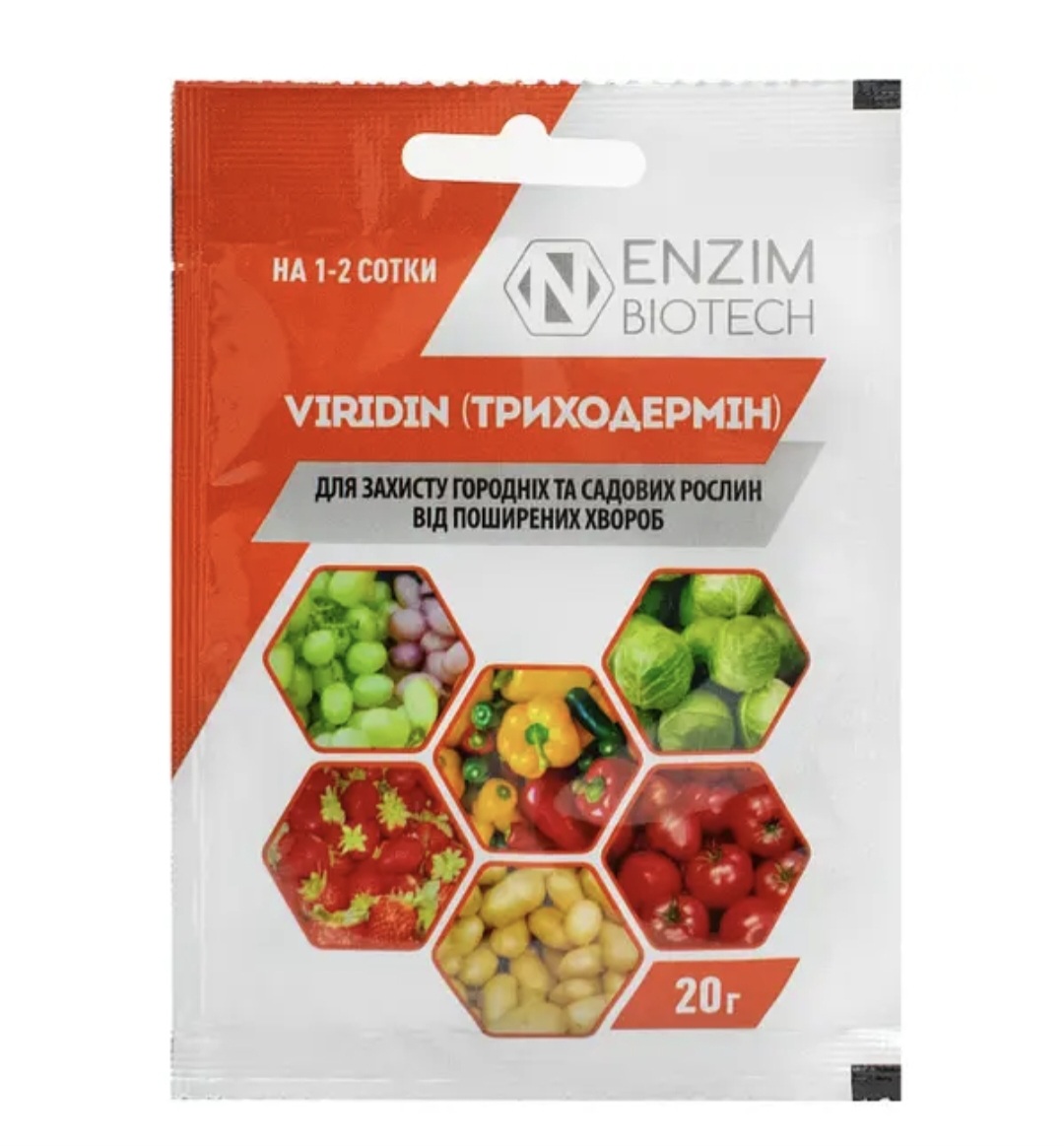 Screenshot_20240912_090025_Samsung-Internet