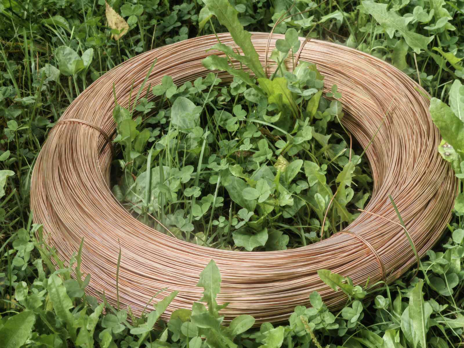 изображение_viber_2024-09-23_22-05-48-320