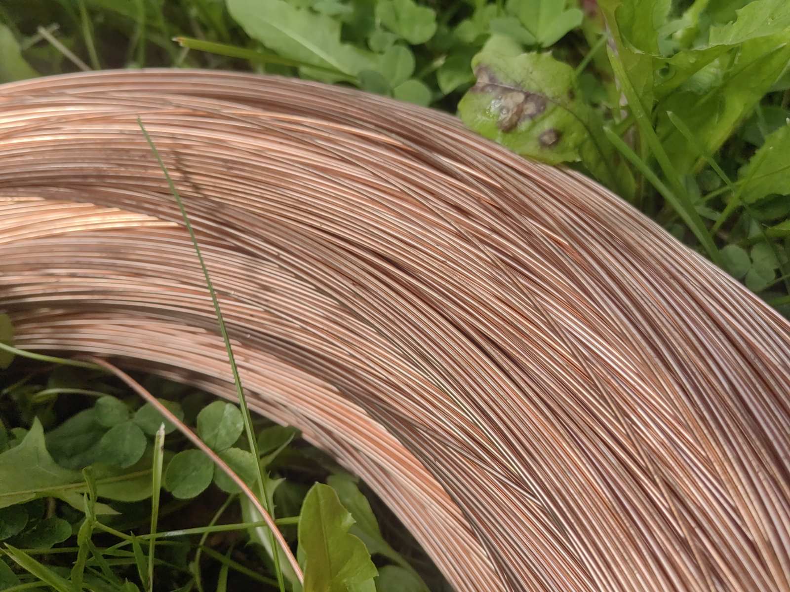 изображение_viber_2024-09-23_22-05-48-360