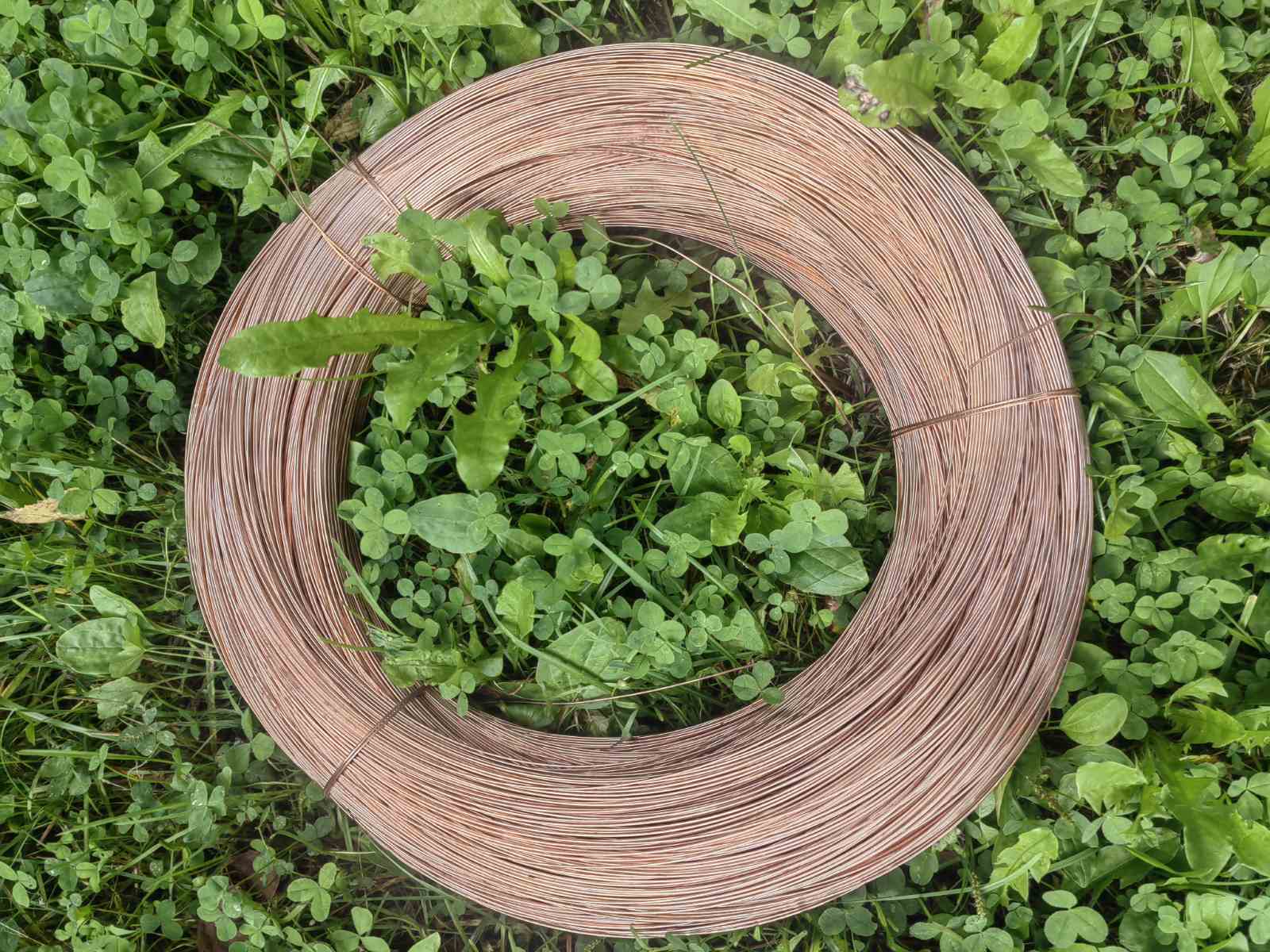 изображение_viber_2024-09-23_22-05-49-335