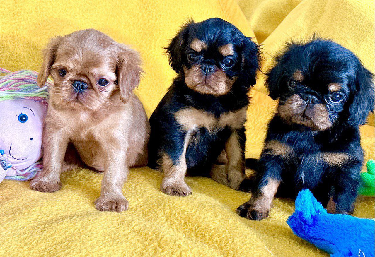 photo_2024-12-22_01-17-22