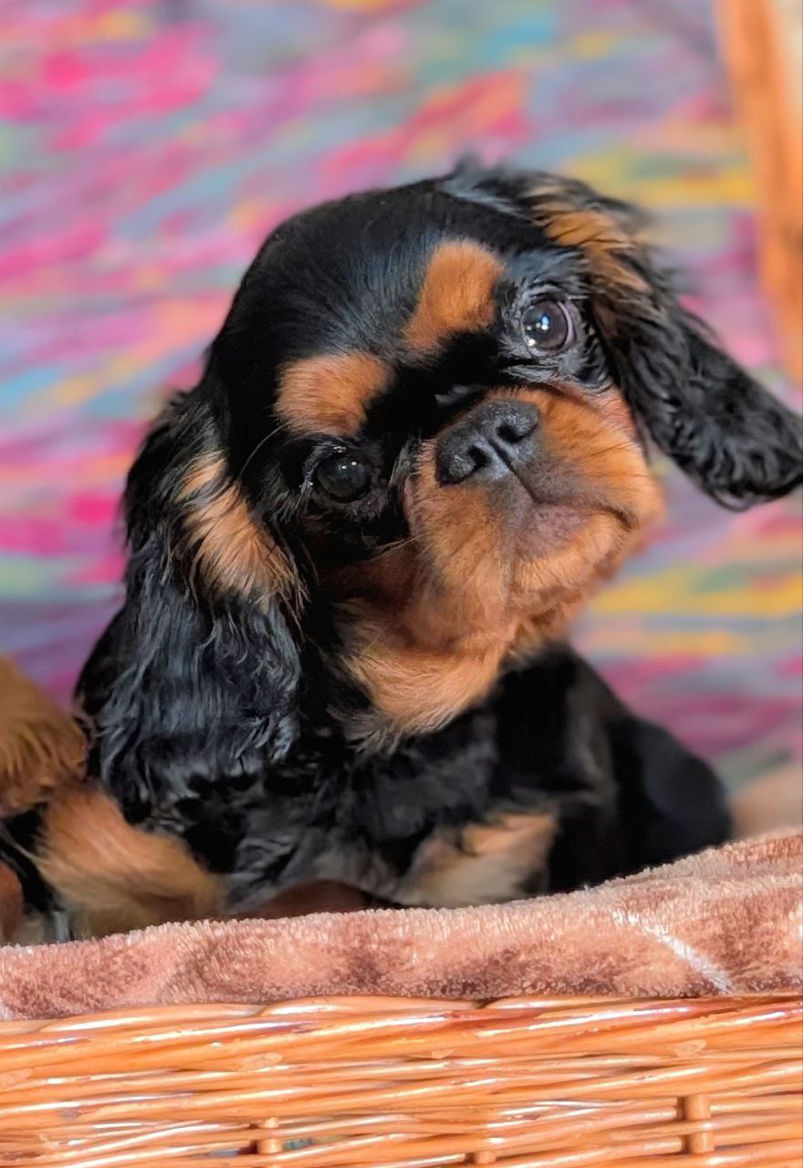 photo_2025-02-22_23-11-29