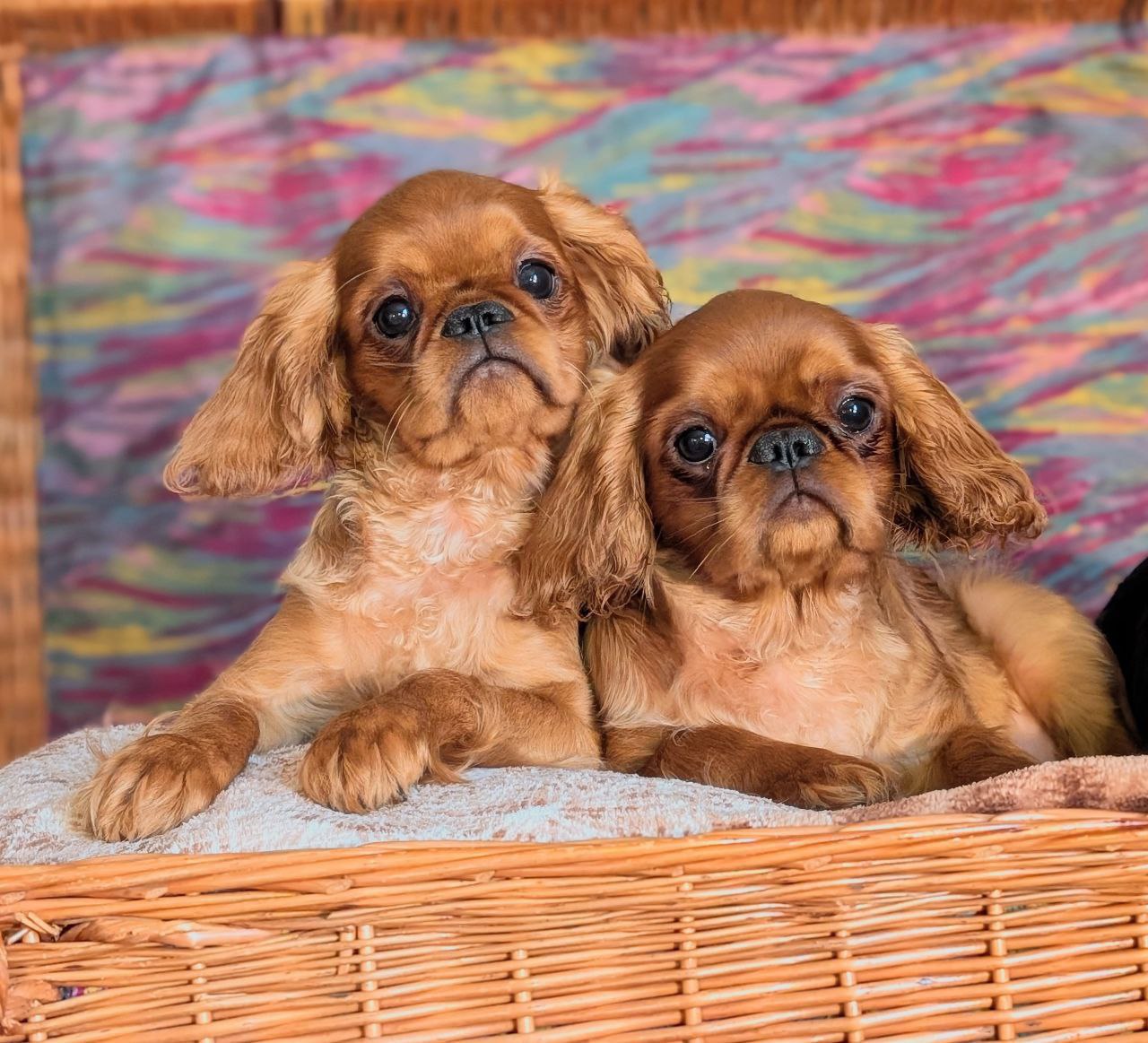 photo_2025-02-22_23-11-34