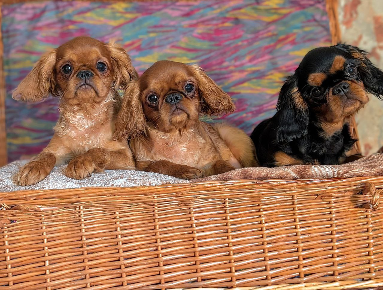 photo_2025-02-22_23-11-38