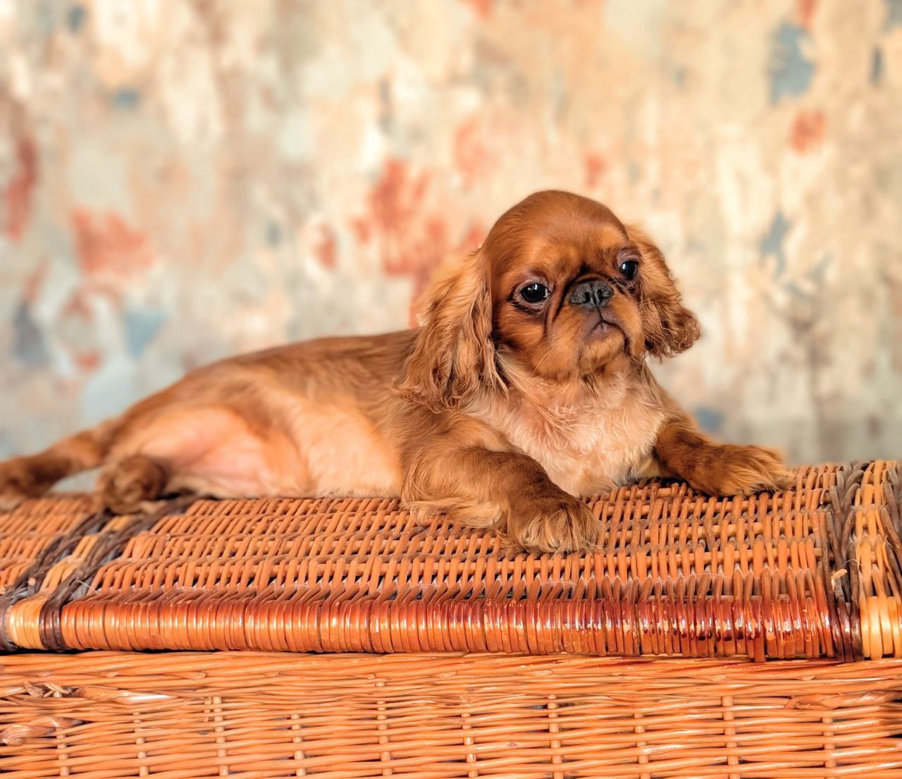 photo_2025-02-22_23-11-41