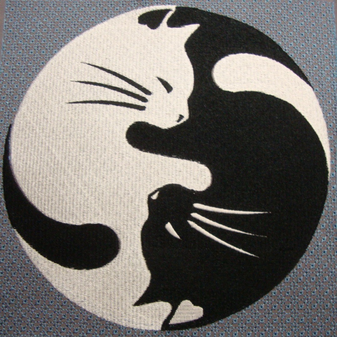 244423658_420501842770602_9078432189052913994_n_17892978548466100