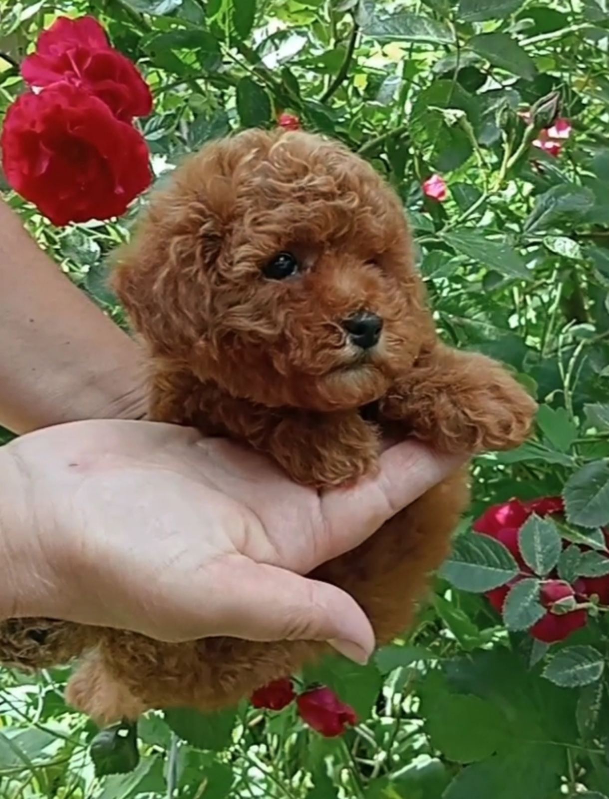 IMG-75553216608f7917058e06165113ec83-V