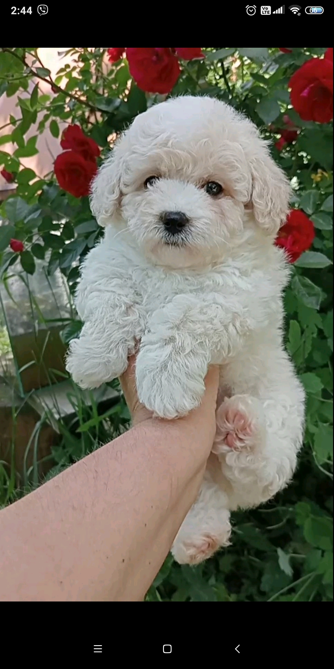 Screenshot_2025-07-05-02-44-20-800_com.viber_.voip_