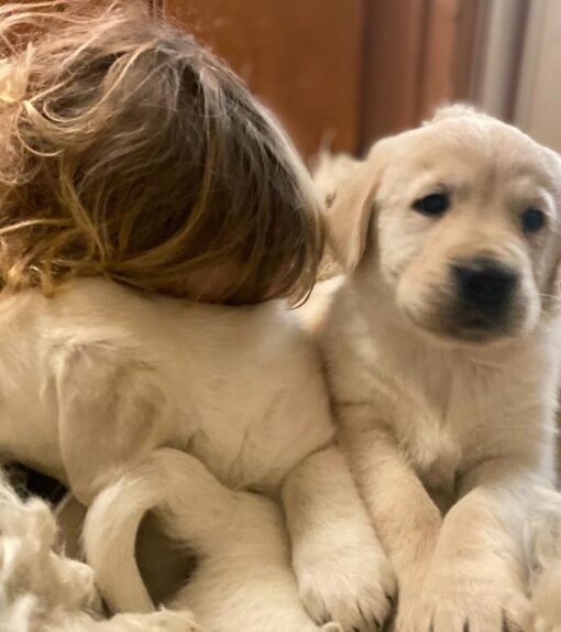 0b4339b37d1200a841c7754d3832427c1a2f427f10387