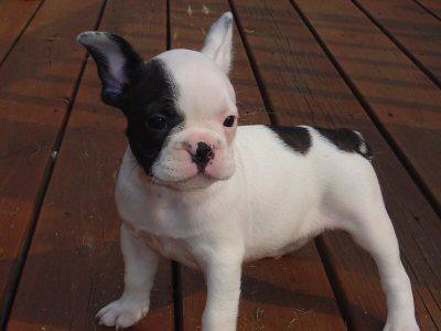 162661982_1893b411b1_w