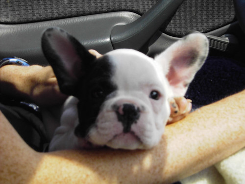 162661985_fb15fd013b